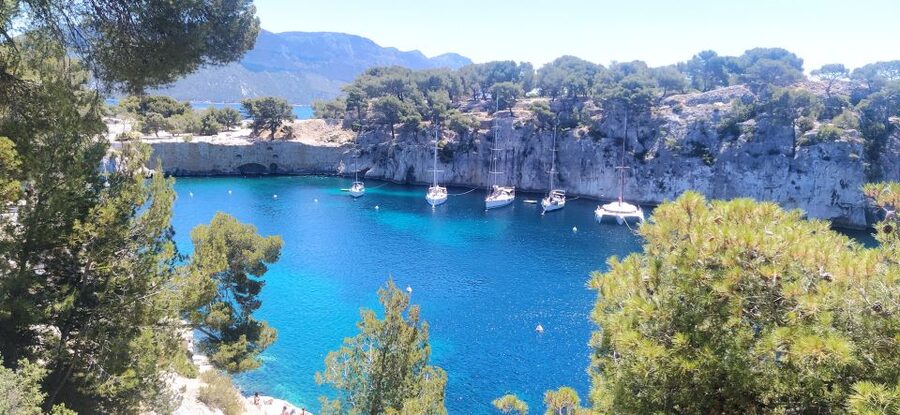 Cassis: 3 Calanques Half-Day Hiking Tour with Swimming - Guide quality and the value of local context