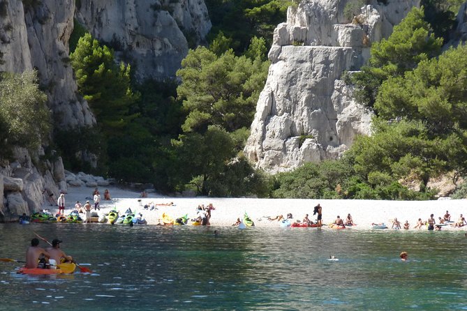 Cassis and Aix en Provence Sightseeing Tour from Marseille - Who Will Enjoy This Day Most?