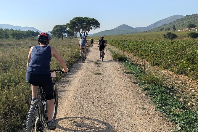 Cassis: Three Calanques Tour by Electric Mountain Bike - What the guide and group size add