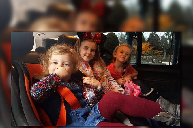 CDG - Euro Disney - CDG Two Way Private Shuttle Transfer - Meeting your driver at Charles de Gaulle Airport
