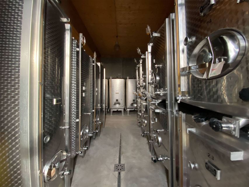 Cellar visit and Alsace wine tasting with a feminine touch - Meeting Domaine Gueth on the Alsace Wine Route