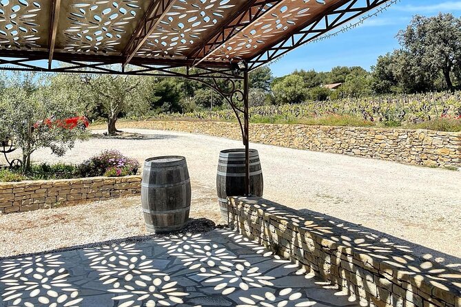 Cellar Visit & Bandol Wine Tasting (in French) - Why Bandol gives the tasting a clear focus