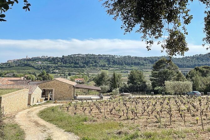 Cellar Visit & Bandol Wine Tasting (in French) - A personal welcome, with French as the working language