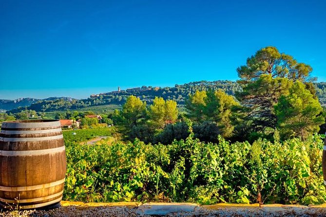 Cellar Visit & Bandol Wine Tasting (in French) - Is the $13.83 price good value?