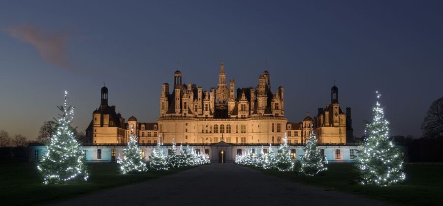 Chambord: Entry Ticket to the Castle - Is the $24 Ticket Good Value?
