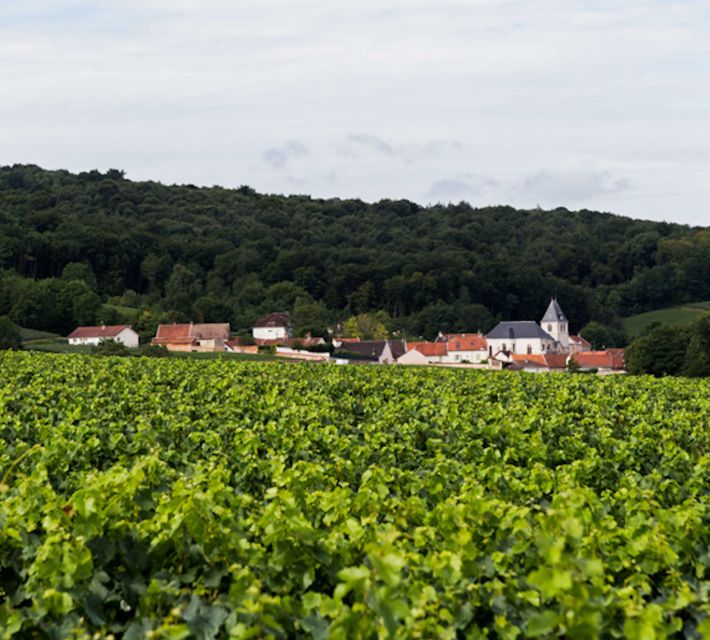 Champagne: Canard-Duchêne Champagne House Tour - Seeing the old chapel’s restored glass