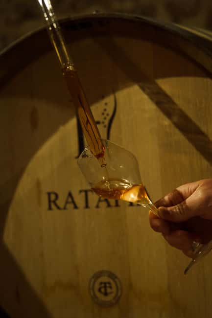 Champagne Cellar Experience: Explore our historic cellars - The tasting of three champagnes and Ratafia Champenois