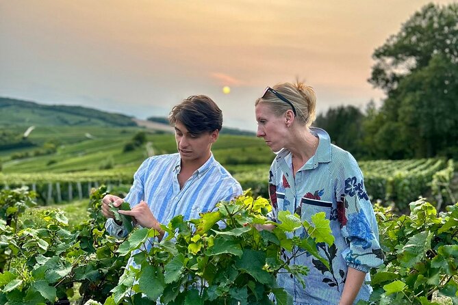 Champagne Day Trip from Paris with 8 Tastings & Lunch - A Long Morning Ride East from Paris