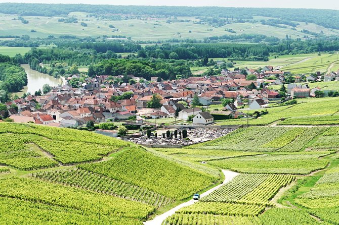 Champagne Day Trip with 6 Tastings, Reims and Winery from Paris - What this Champagne tour actually delivers