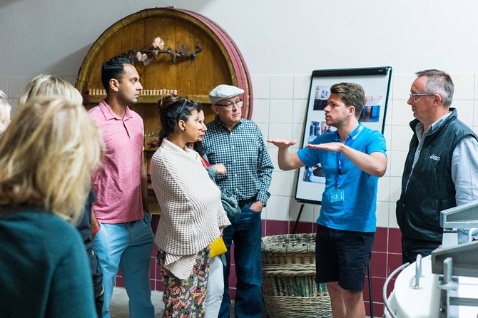 Champagne Day Trip with 6 Tastings, Reims and Winery from Paris - A family cellar at Champagne DOMI