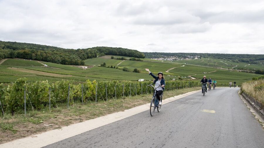 Champagne: E-Bike Champagne Day Tour with Tastings and Lunch - What the guides add to the day