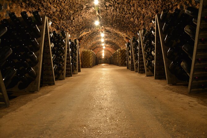 Champagne experience with a vintage van from Epernay - 3 hours - Aÿ-Champagne: famous names and vineyard views