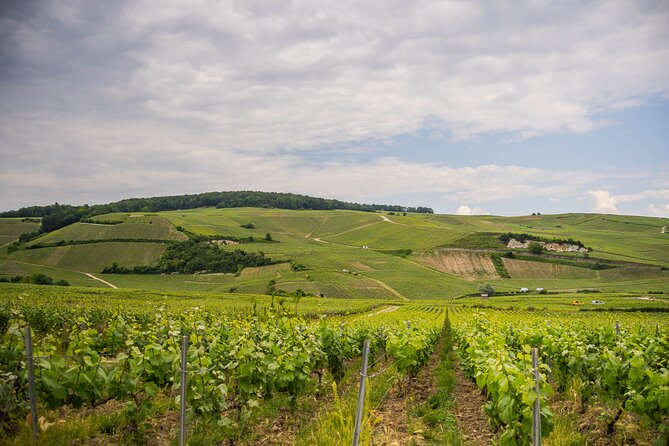Champagne experience with a vintage van from Epernay - 3 hours - The vintage van: charm with a few trade-offs