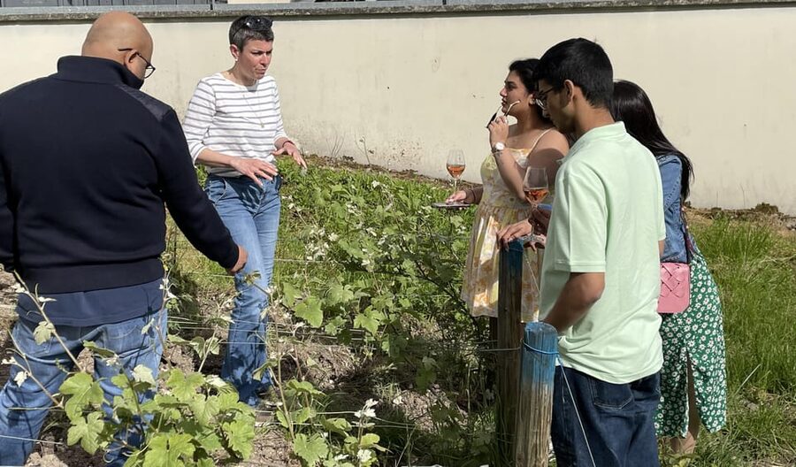 Champagne Munoz Bruneau : Half Day Visit and Tasting - Practical tips for a smoother afternoon