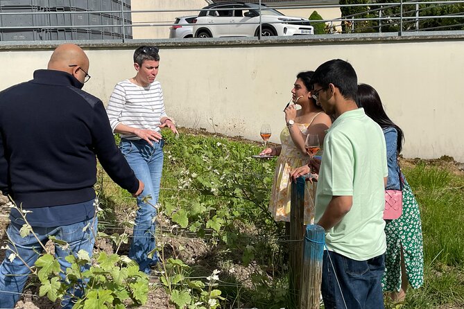 Champagne Munoz Bruneau : Half Day Visit and Tasting - Inside Champagne Munoz Bruneau
