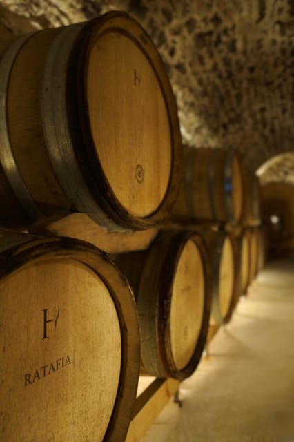 Champagne Vineyard Experience: Delve into the terroir - Booking Details That Matter