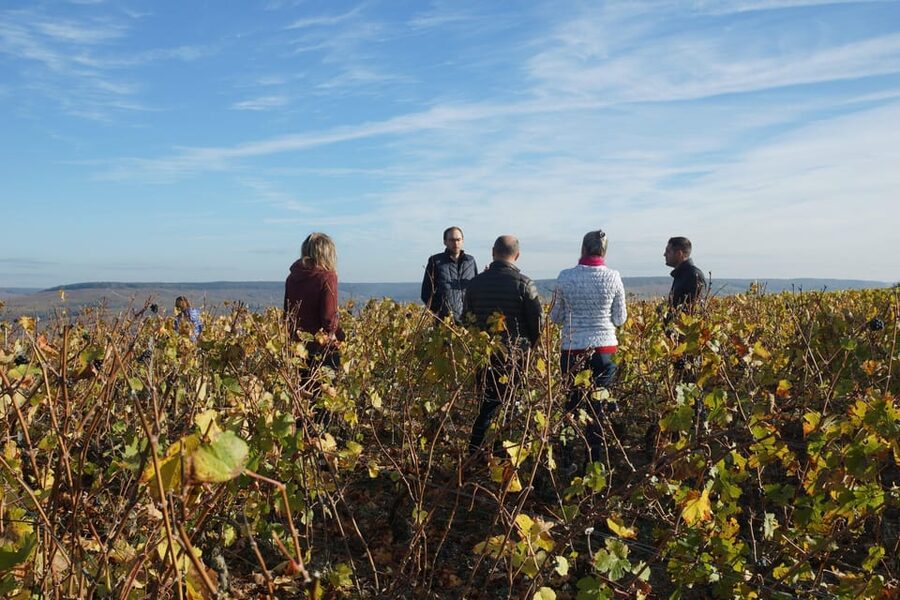 Champagne Vineyard Experience: Delve into the terroir - The Tasting: Champagne and Ratafia Champenois