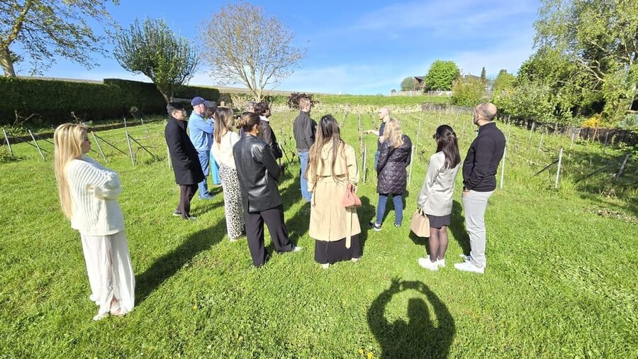 Champagne Vineyard Experience: Delve into the terroir - Who Will Enjoy This Visit Most?