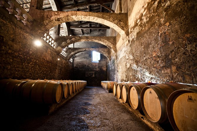 Chateau du Taillan and Park including Wine Tasting Tour - Why Château du Taillan makes a good Bordeaux outing