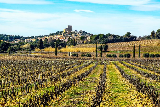 Châteauneuf Du Pape intensive vineyard & fine wine experience - Why Châteauneuf-du-Pape makes a rewarding wine day