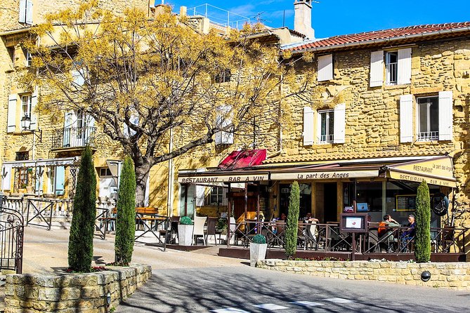 Châteauneuf Du Pape intensive vineyard & fine wine experience - Guides Laurent and Christopher shape the experience
