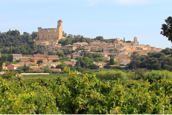 Châteauneuf du Pape Wine Day Tasting Tour including Lunch from Avignon - Lunch is more than a pause