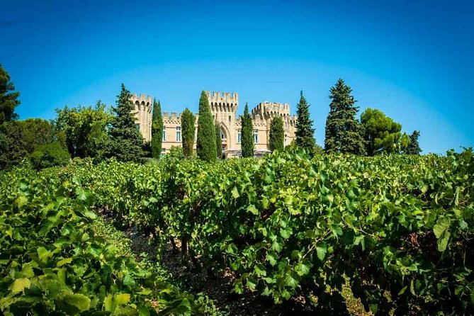 Chateauneuf du Pape wine tour - Why Châteauneuf-du-Pape makes a good wine day
