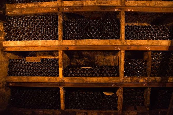 Chateauneuf du Pape wine tour - First stop: vines, stones, and terroir