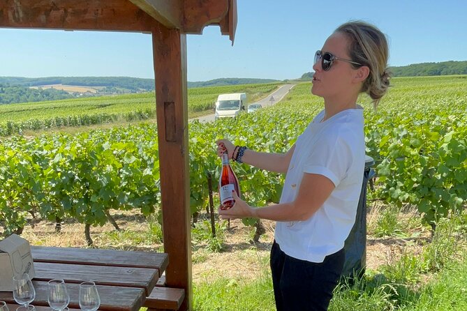 Cheese and Wine Pairing 1-Hour Session in Dijon - What Emeline Pin adds to the tasting