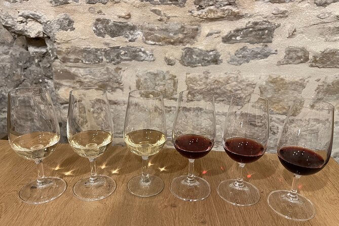 Cheese and Wine Pairing 1-Hour Session in Dijon - The cellar setting and group size