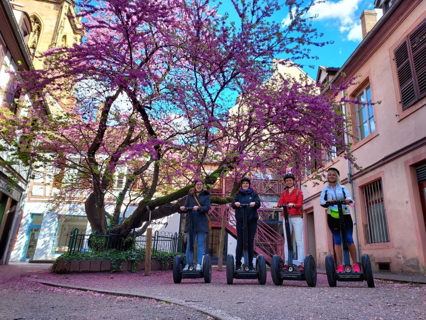 Colmar: 2-Hour Segway Tour - Is the Segway really easy for first-time riders?