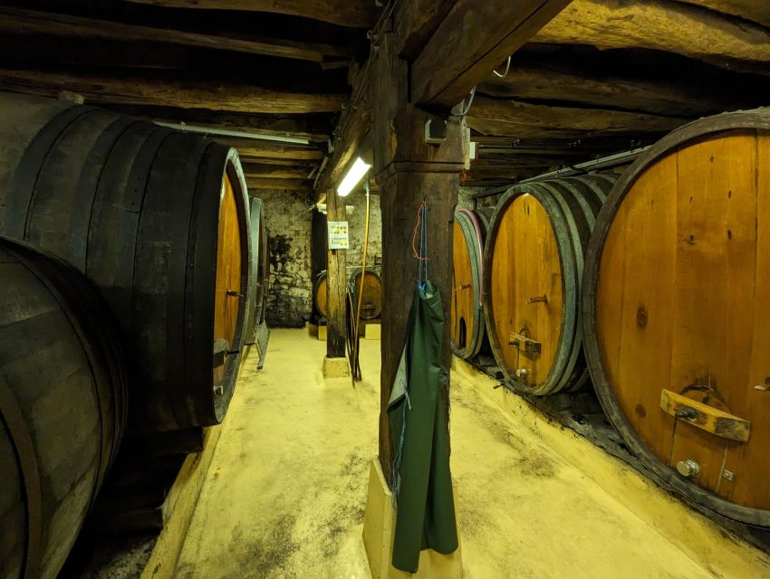 Colmar: Highlights Walking Tour and Wine Tasting - Key points at a glance