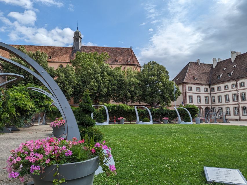 Colmar: Highlights Walking Tour and Wine Tasting - A real Alsace wine tasting in Colmar