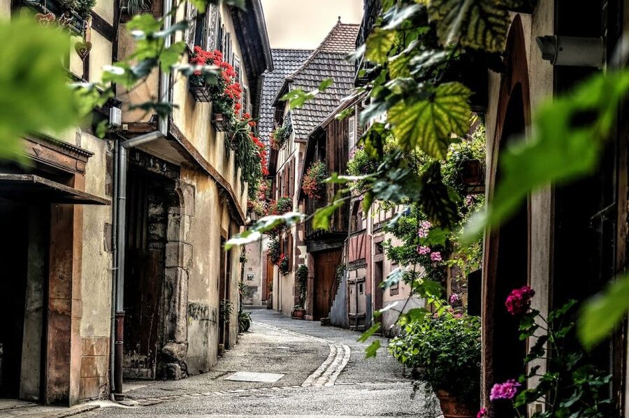 Colmar: Private Guided Walking Tour of the City Center - Collégiale Saint-Martin as the architectural centerpiece