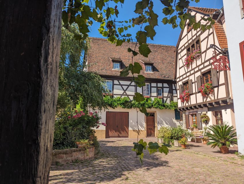 Colmar: Unusual Walking Tour with a local guide - Petite Venise without the postcard crush