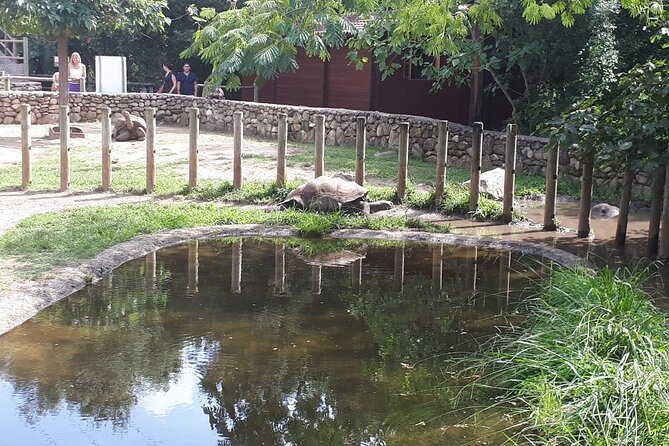 Corsica A Cupulatta Turtle Park Skip the Line Admission Ticket - More Than a Collection of Turtles