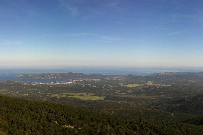 Corsica Extreme Sud Day 4X4 Excursions from Porto-Vecchio - Ospedale Forest brings trees, water, and cooler scenery