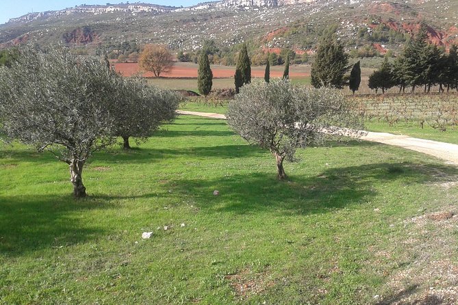 Cotes de Provence Wine Tour from Aix-en-Provence - Key details before you book
