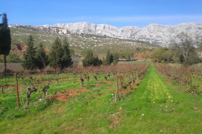 Cotes de Provence Wine Tour from Aix-en-Provence - Why this Aix-en-Provence wine tour works