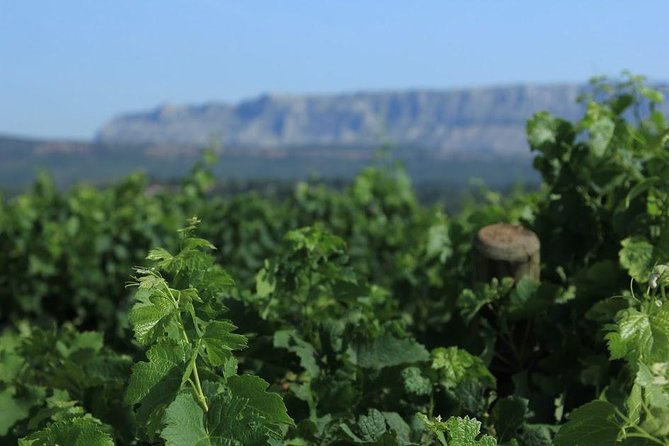 Cotes de Provence Wine Tour from Aix-en-Provence - The road to Mont Sainte-Victoire and Cézanne country