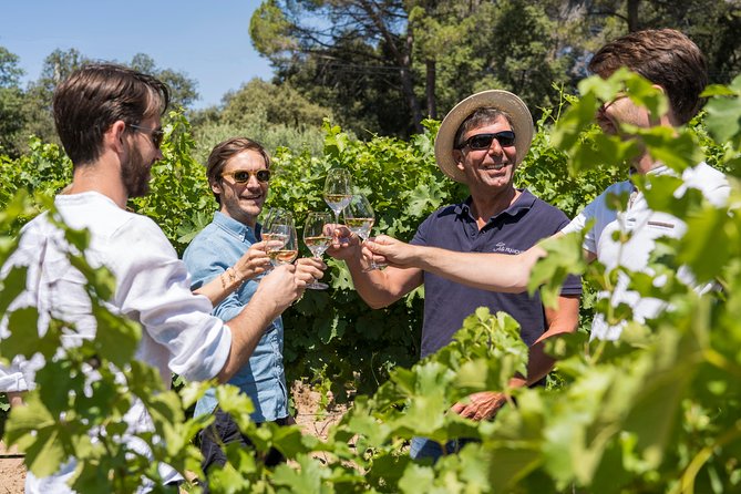 Cotes de Provence Wine Tour from Aix-en-Provence - Second tasting: Domaine Terre de Mistral