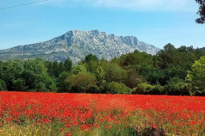 Cotes de Provence Wine Tour from Aix-en-Provence - Meeting the minibus at 300 Av. Giuseppe Verdi