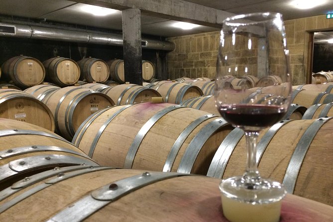Cotes du Rhone Wine Tour (9:00 am to 5:15 pm) - Small Group Tour from Lyon - Key points to know before booking