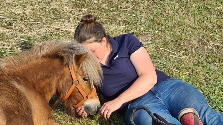 Cruseilles: Horseback Riding in the Countryside - Who should book this Cruseilles ride?