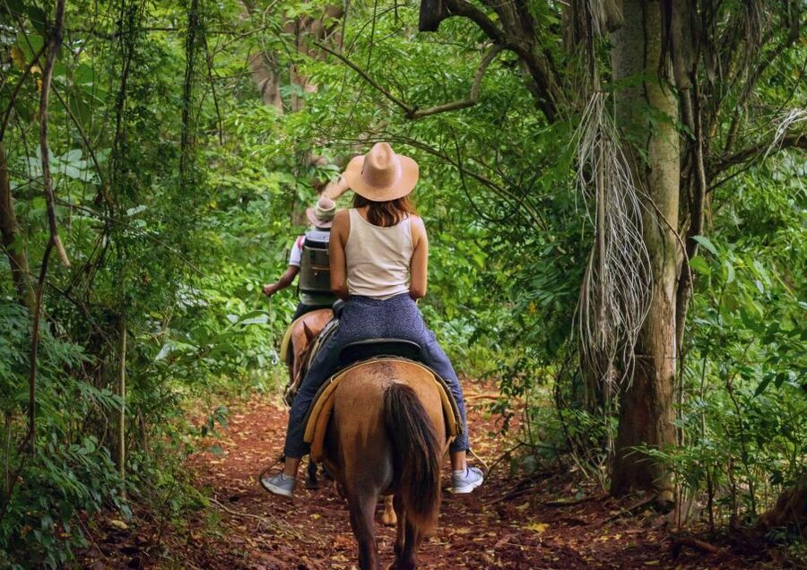 Cruseilles: Horseback Riding in the Countryside - Meeting the horses at Ecurie des Goths