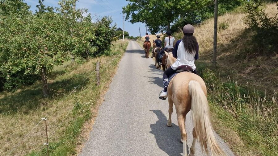 Cruseilles: Horseback Riding in the Countryside - What the scenery may include
