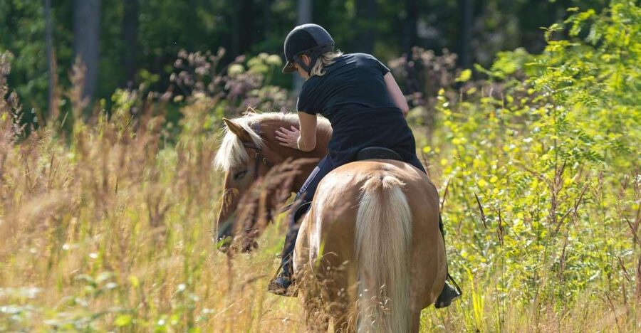 Cruseilles: Horseback Riding in the Countryside - The small-group advantage