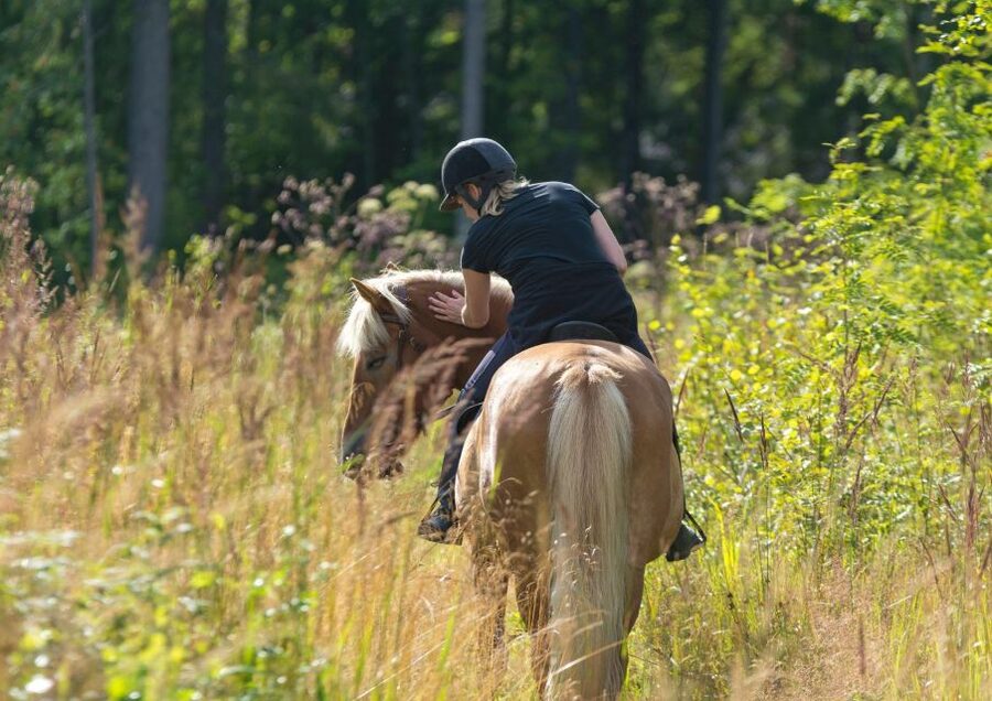 Cruseilles: Horseback Riding in the Countryside - Is $46 fair for one hour?