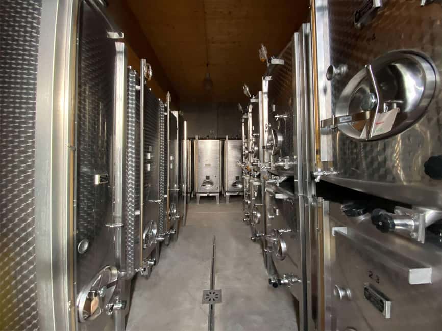 Dare to Alsace Wine with a Feminine Touch - Key points to know before booking