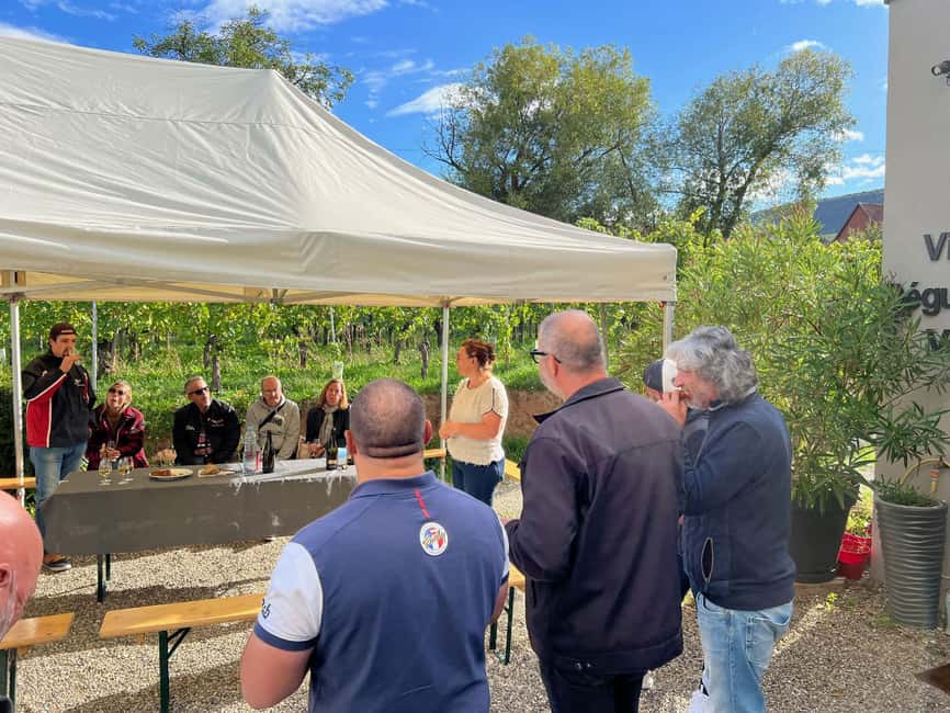 Dare to Alsace Wine with a Feminine Touch - Why this Domaine Gueth visit feels personal